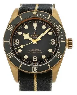 Tudor Black Bay 79250BA-0002 43mm Bronze Gray