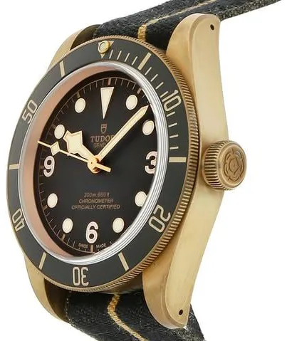 Tudor Black Bay 79250BA-0002 43mm Bronze Gray 1