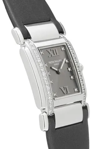 Patek Philippe Twenty~4 4920G-001 25mm White gold Gray 2