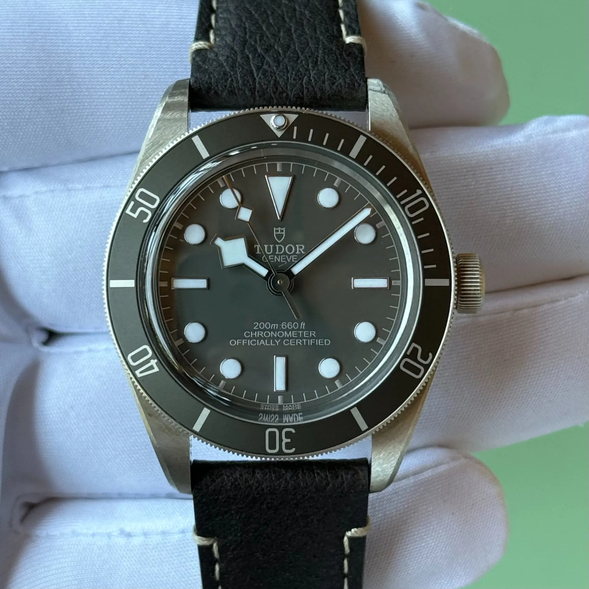 Tudor Black Bay M79010SG-0001