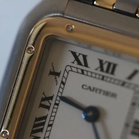 Cartier Panthère 166921 22mm Yellow gold and Stainless steel White 4