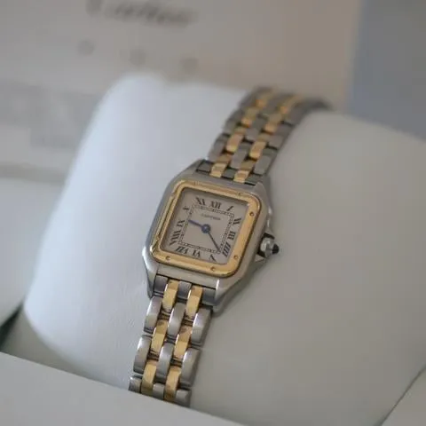 Cartier Panthère 166921 22mm Yellow gold and Stainless steel White 8