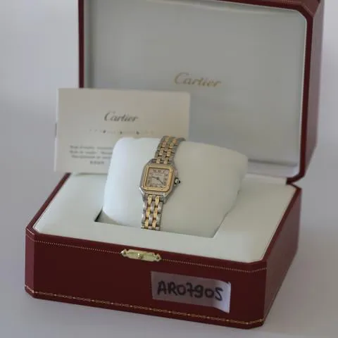 Cartier Panthère 166921 22mm Yellow gold and Stainless steel White 13