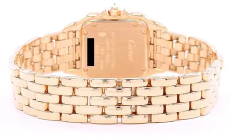 Cartier Panthère WF3072B9 Yellow gold Silver 4