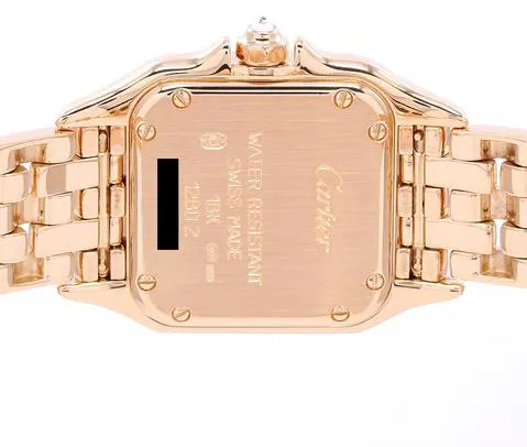 Cartier Panthère WF3072B9 Yellow gold Silver 6