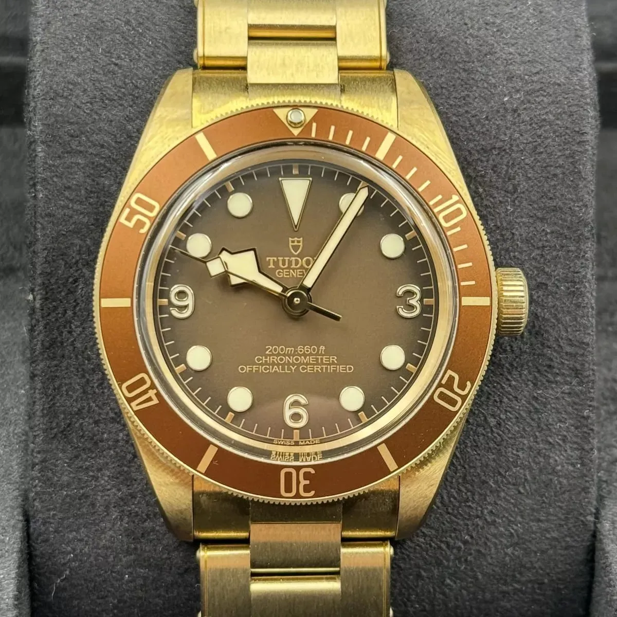 Tudor Black Bay M79012M-0001 39mm Bronze Brown