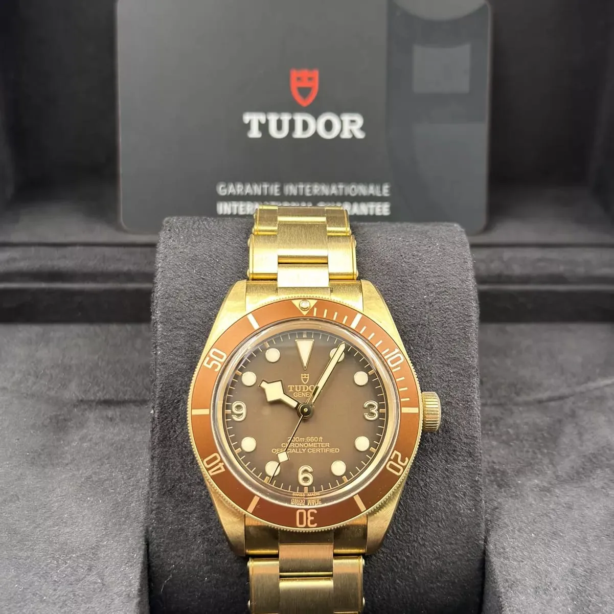 Tudor Black Bay M79012M-0001 39mm Bronze Brown 5