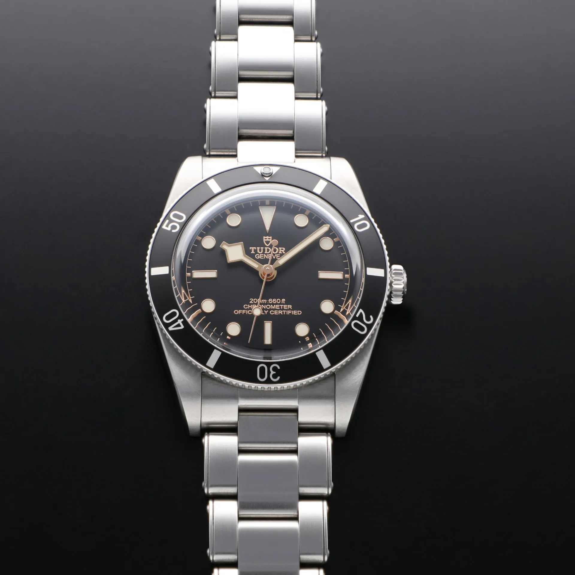 Tudor Black Bay M79000N-0001