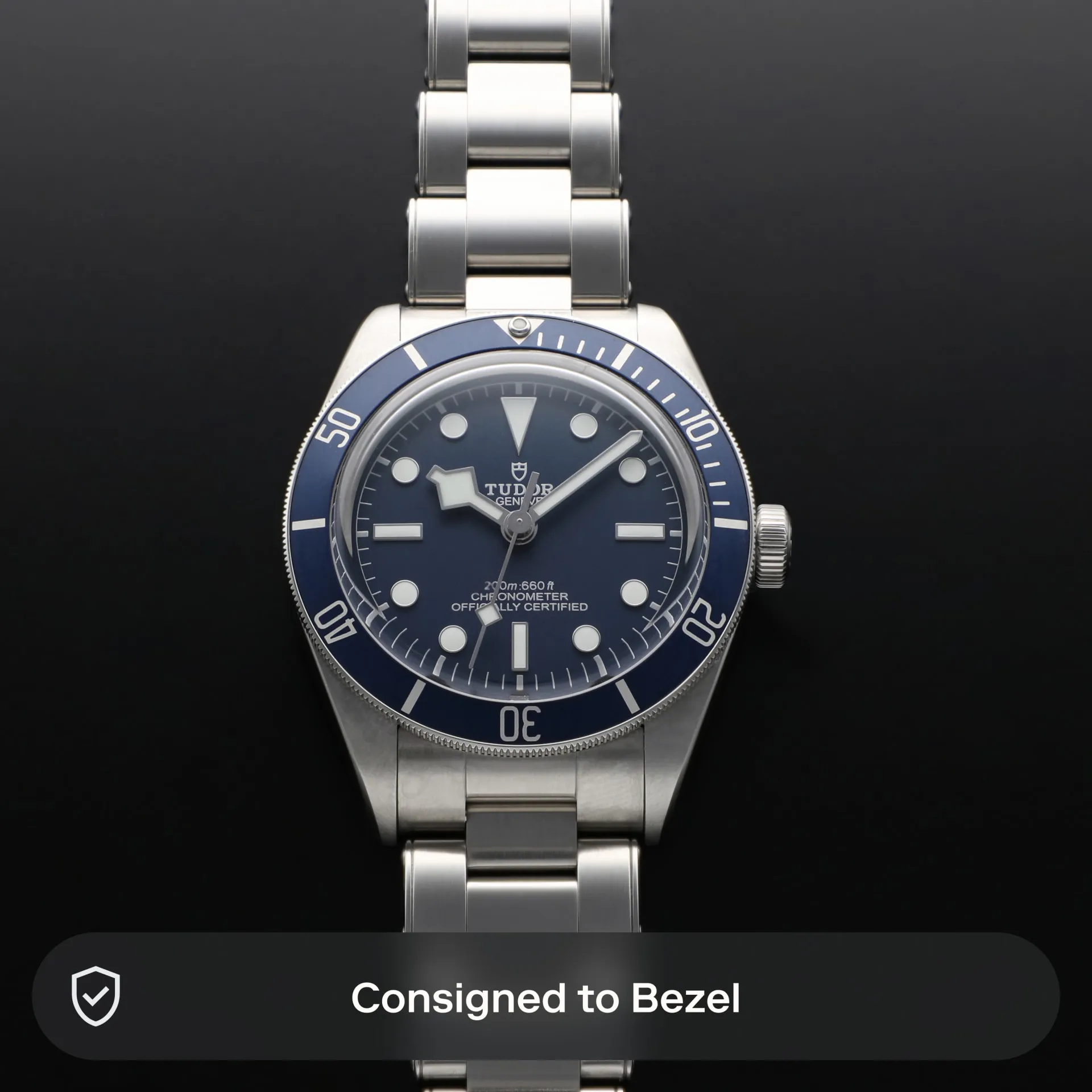 Tudor Black Bay M79030B-0001