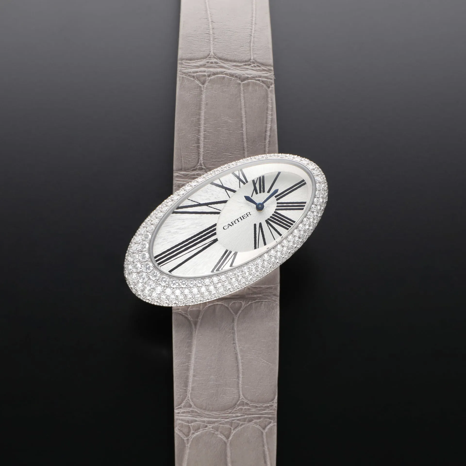 Cartier Baignoire WJ301949 23mm White gold Silver