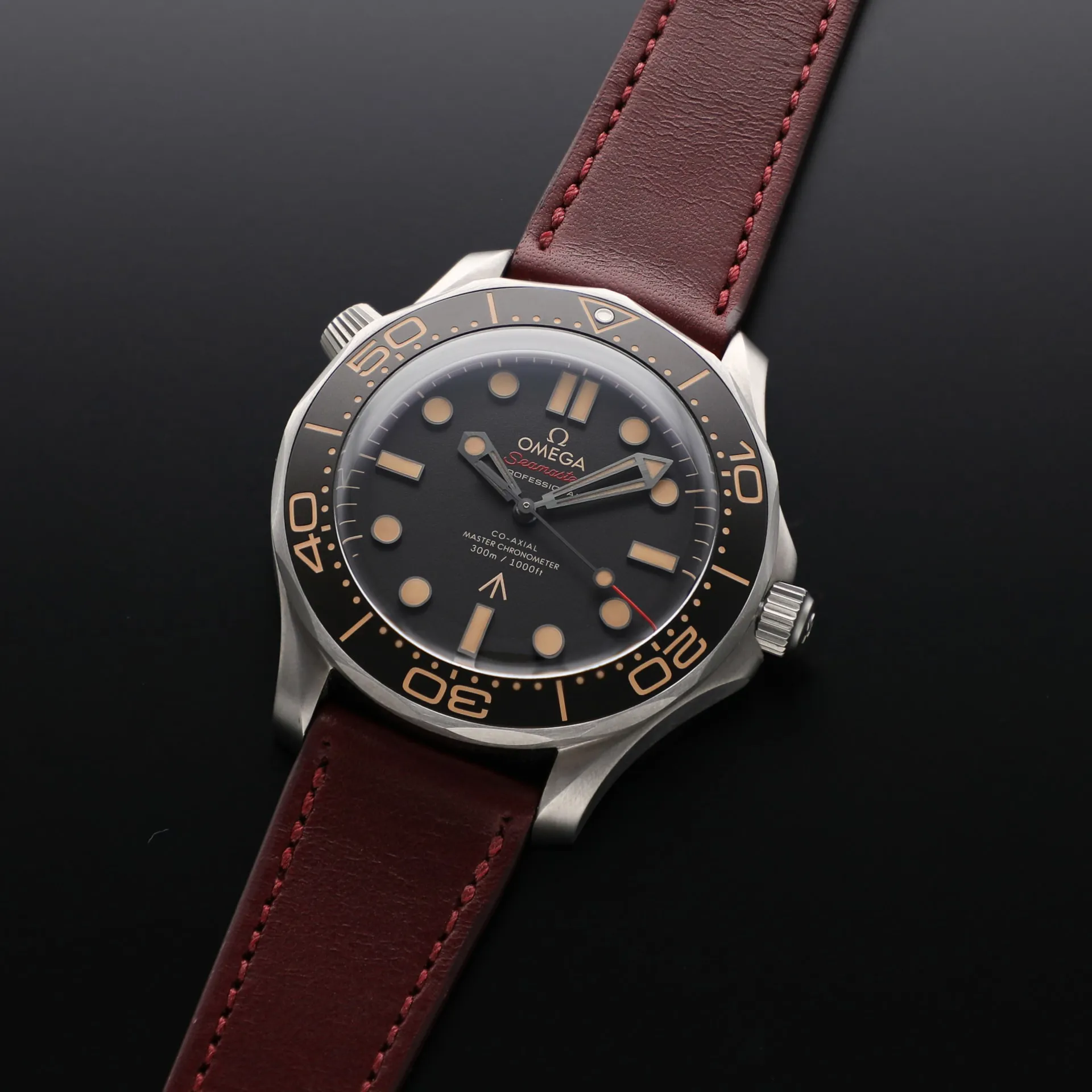 Omega Seamaster Diver 300M 210.92.42.20.01.001 42mm Titanium Brown 1