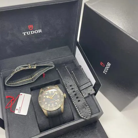 Tudor Black Bay 79250BA 43mm Bronze Gray