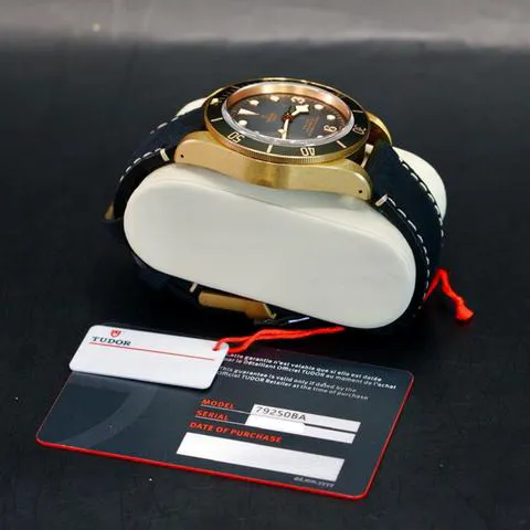 Tudor Black Bay 79250BA 43mm Bronze Gray 4