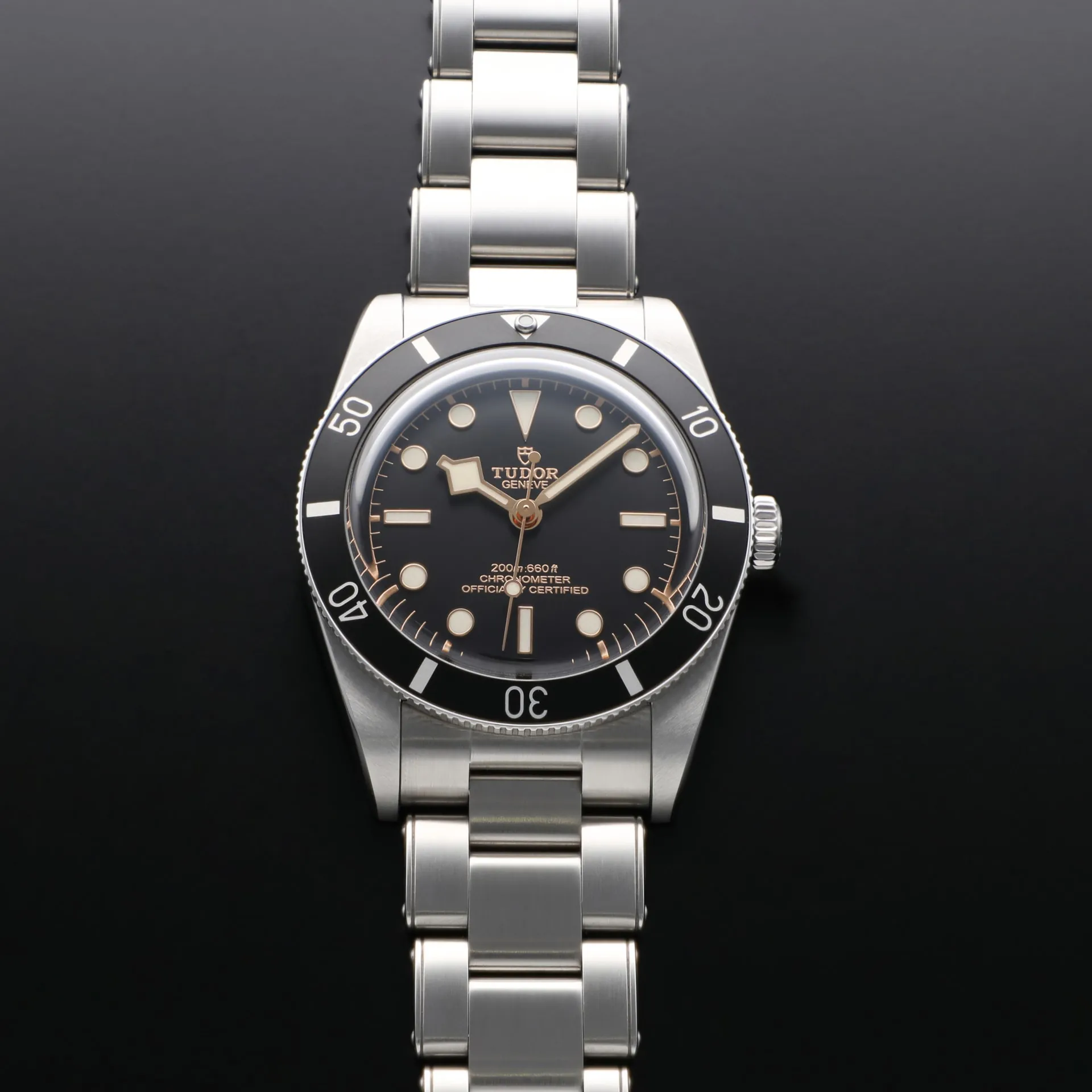 Tudor Black Bay M79000N-0001