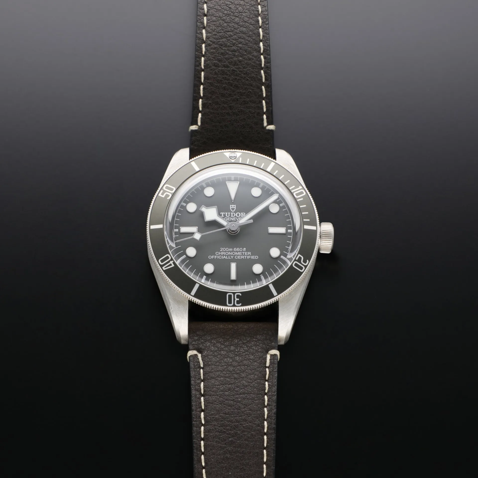 Tudor Black Bay M79010SG-0001