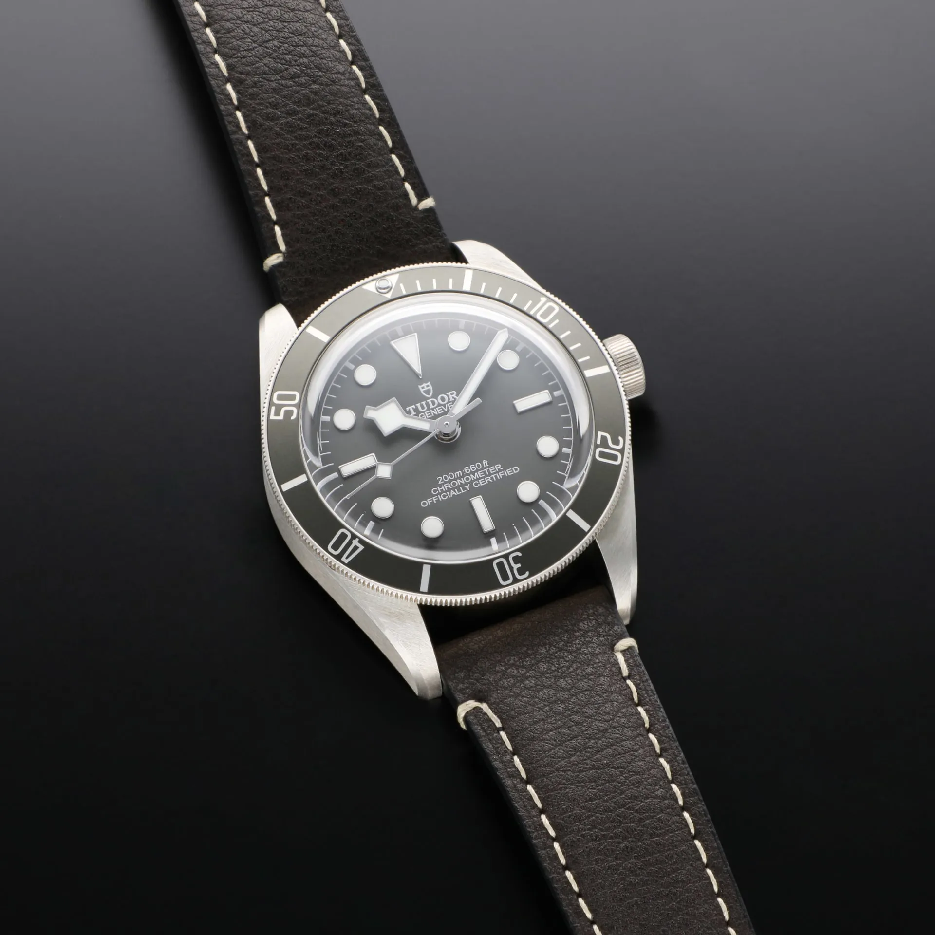 Tudor Black Bay M79010SG-0001 39mm Silver Beige 2