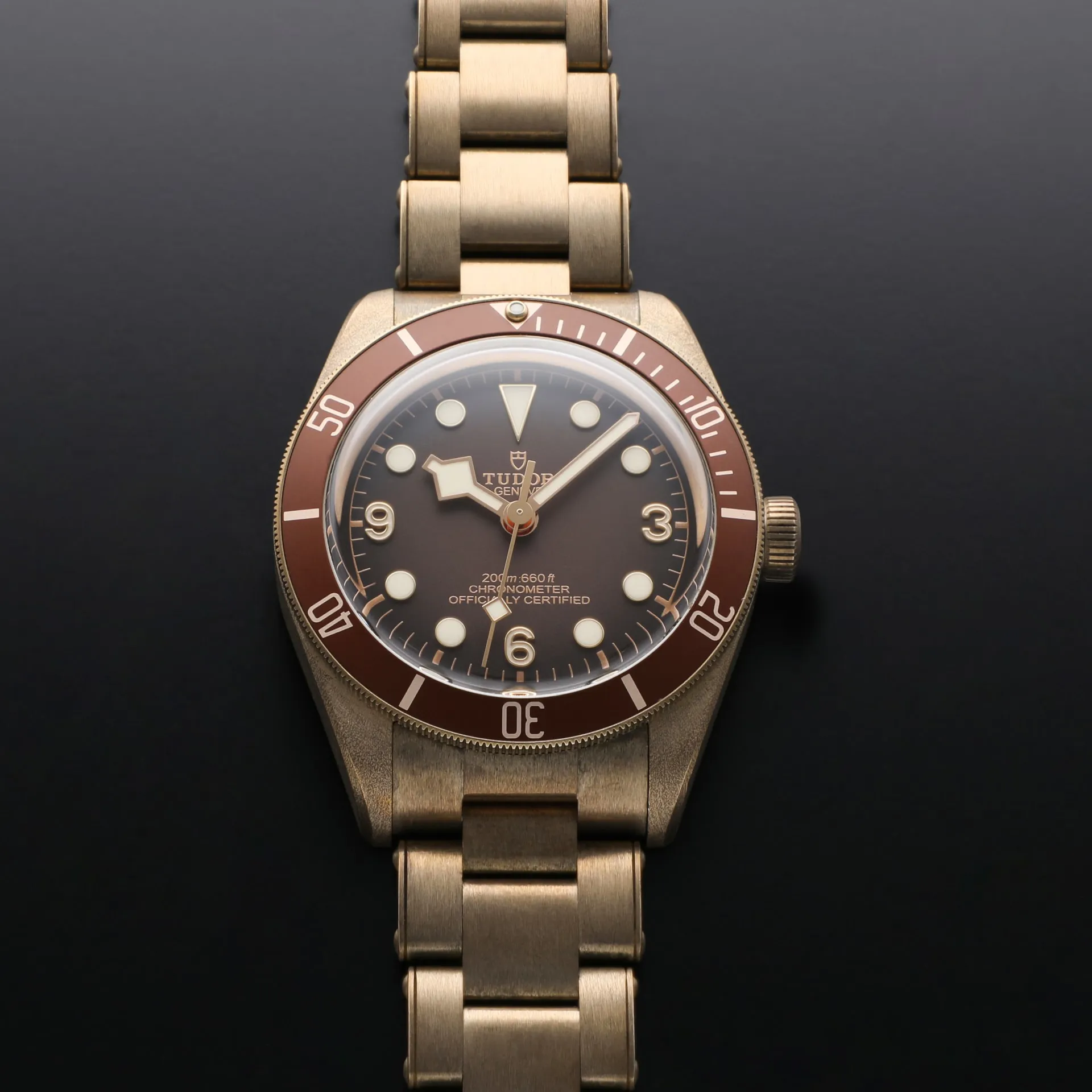 Tudor Black Bay M79012M-0001