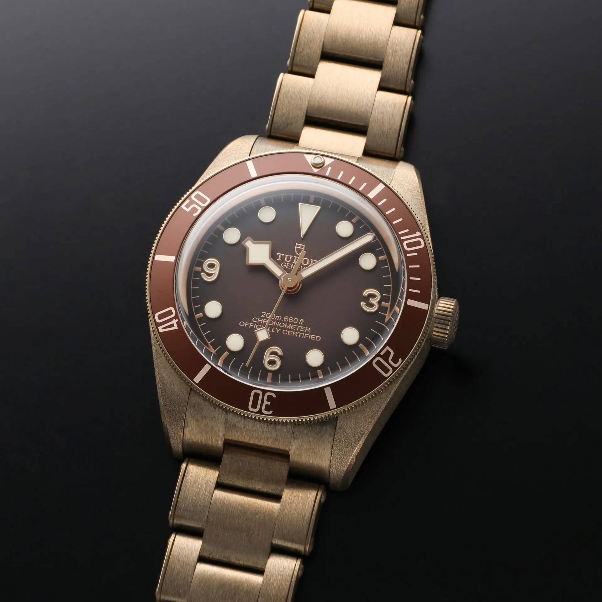 Tudor Black Bay M79012M-0001 39mm Bronze Brown 1