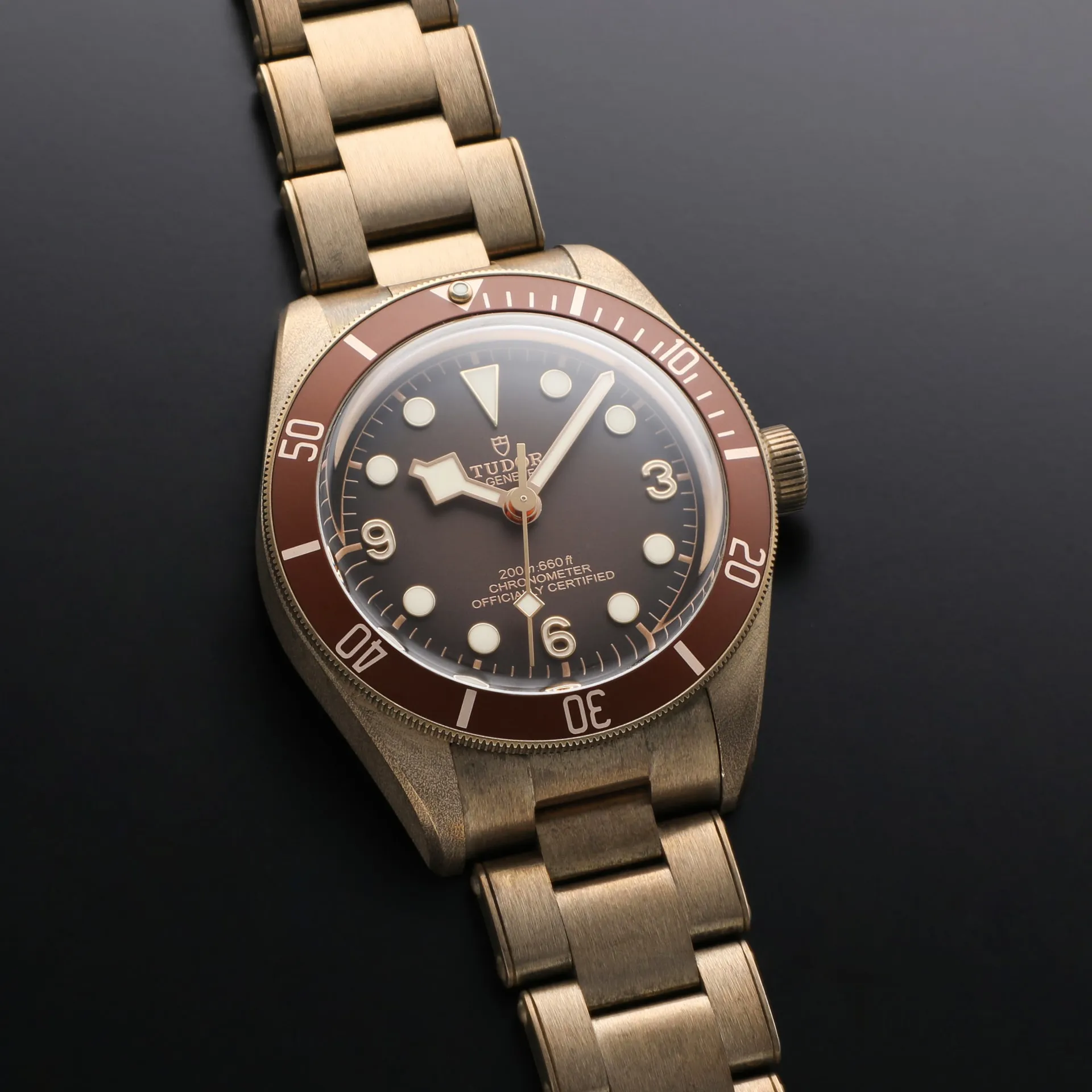 Tudor Black Bay M79012M-0001 39mm Bronze Brown 2