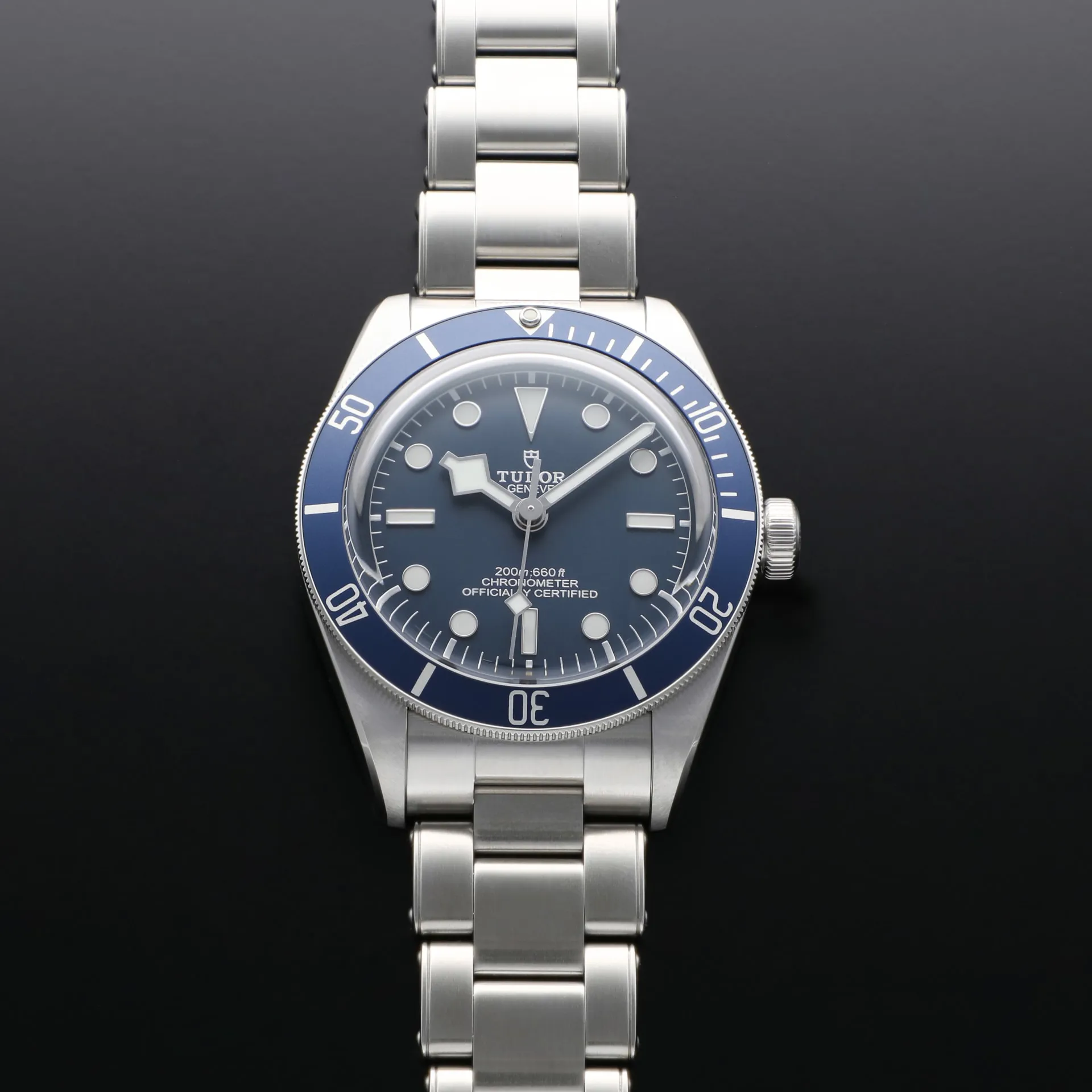 Tudor Black Bay M79030B-0001