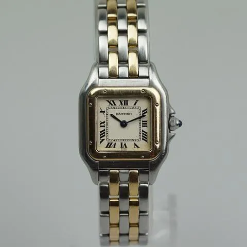 Cartier Panthère 166921 22mm Yellow gold and Stainless steel White 7