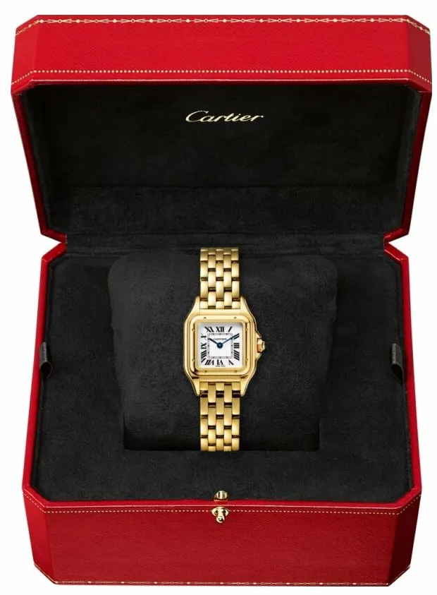 Cartier Panthère WGPN0038 23mm Yellow gold and 18k yellow gold Silver 1