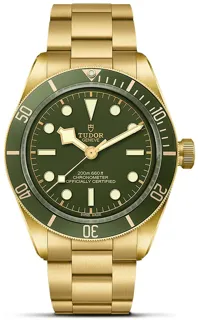 Tudor Black Bay 58 M79018V-0006 18k yellow gold