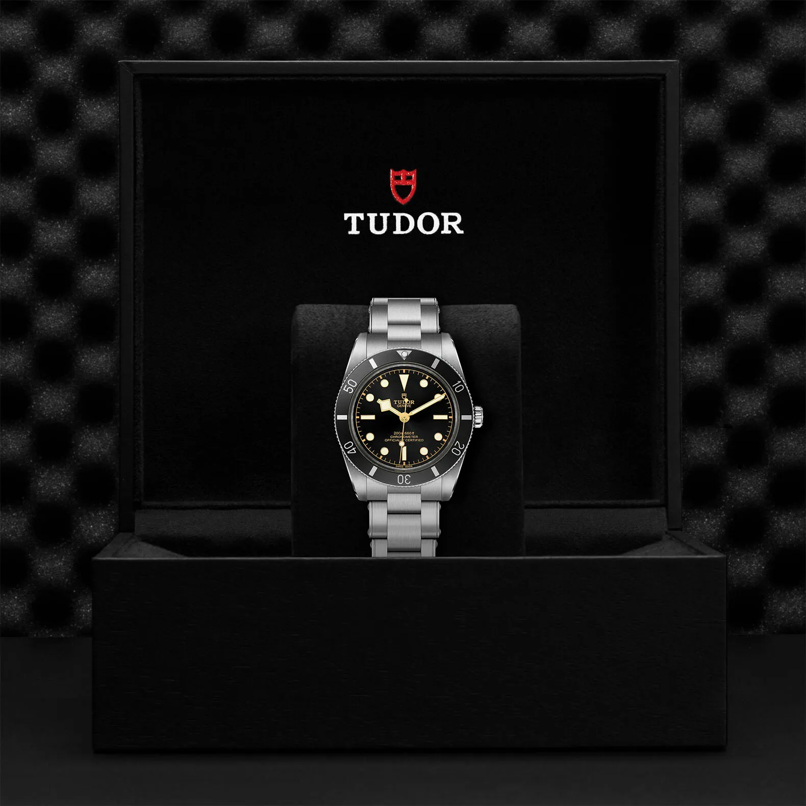 Tudor Black Bay M79000N-0001 37mm Stainless steel Black 3