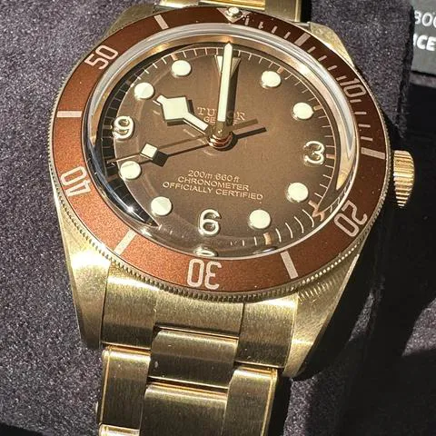 Tudor Black Bay M79012M-0001 39mm Bronze Brown