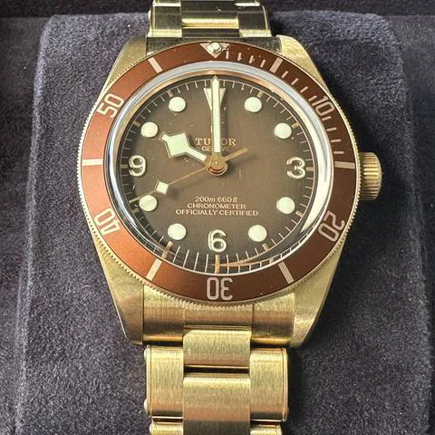 Tudor Black Bay M79012M-0001 39mm Bronze Brown 7