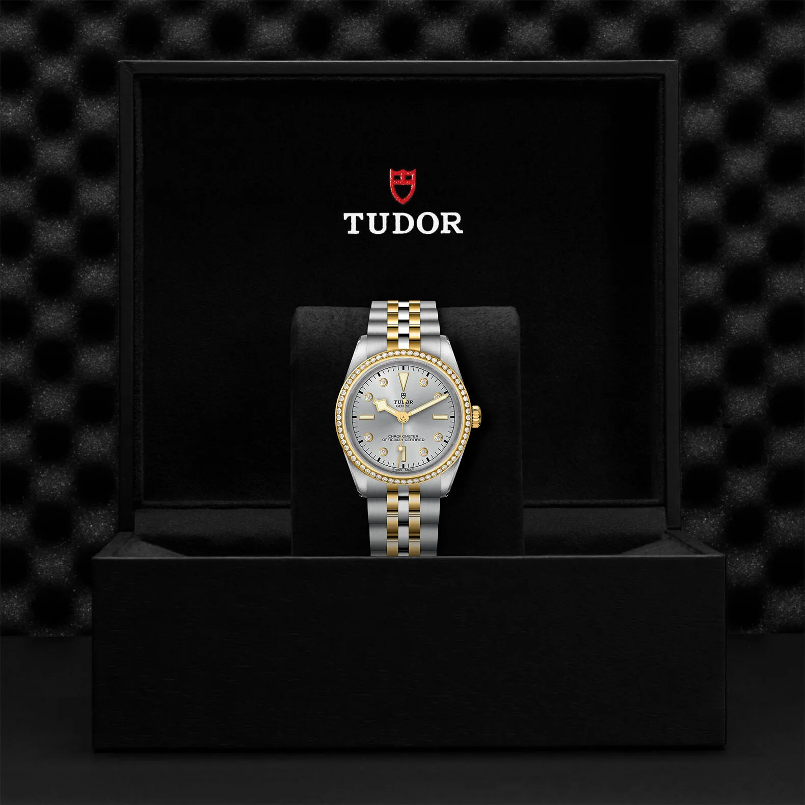 Tudor Black Bay M79653-0006 36mm Yellow gold and Stainless steel and 18k yellow gold Silver 3