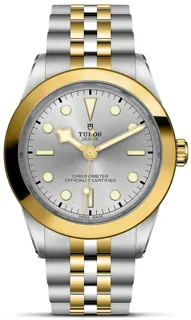 Tudor Black Bay M79663-0002 | Yellow gold and Stainless steel