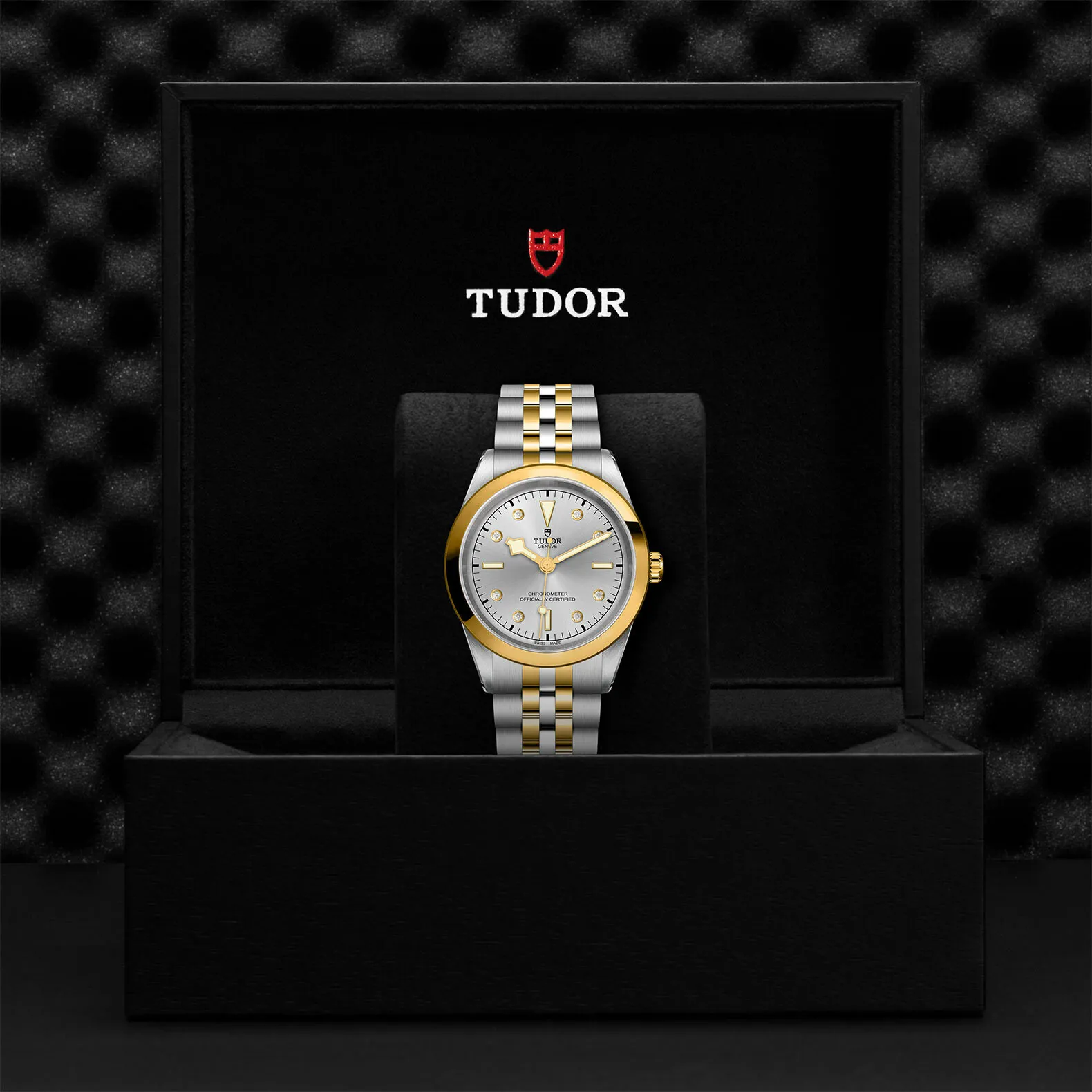 Tudor Black Bay M79683-0007 41mm Yellow gold and Stainless steel and 18k yellow gold Silver 3