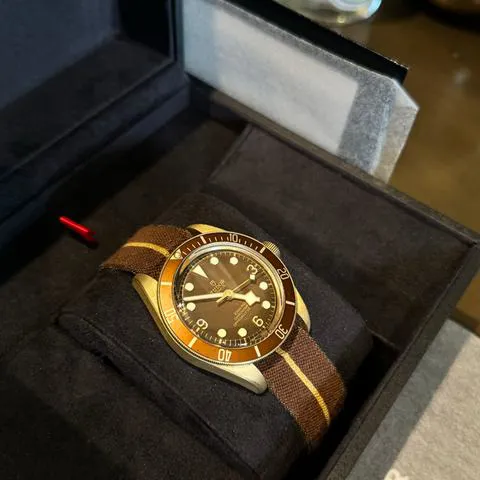 Tudor Black Bay M79012M-0001 39mm Bronze Brown 2