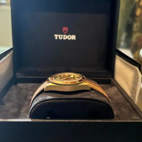 Tudor Black Bay M79012M-0001 39mm Bronze Brown 3