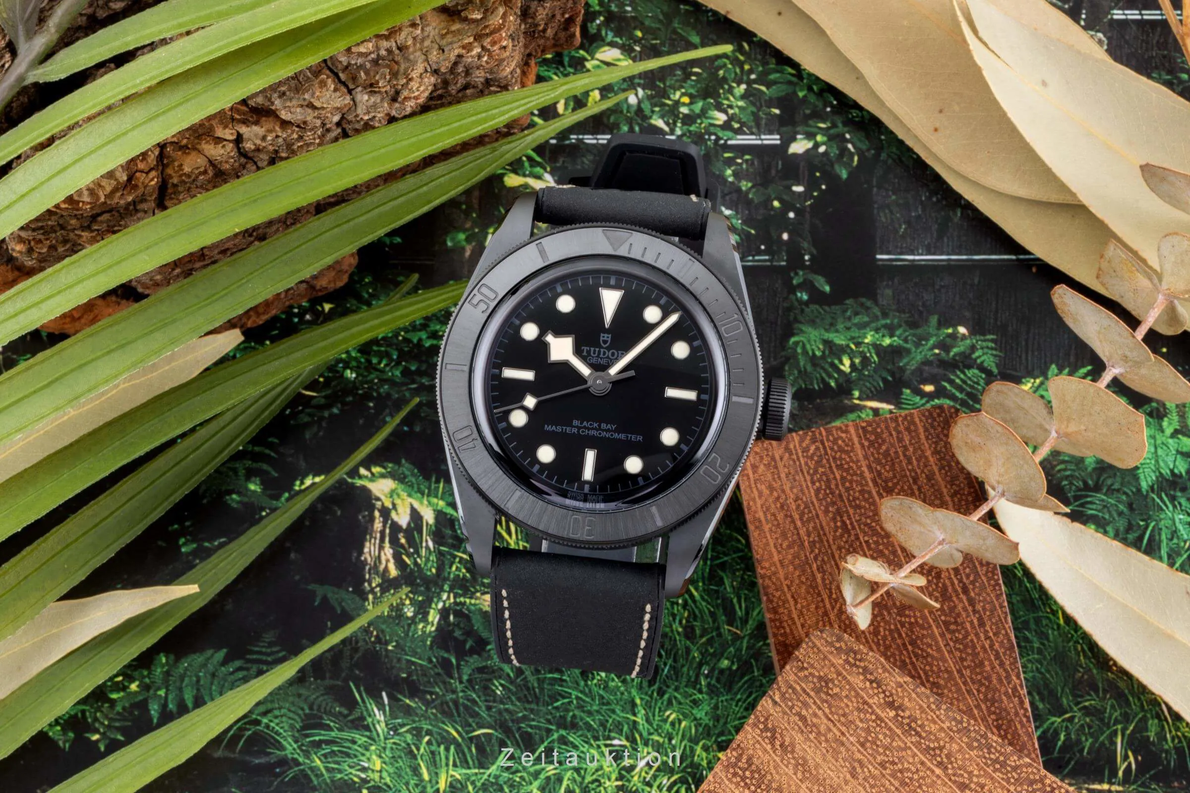 Tudor Black Bay 79210CNU-0001 41mm Ceramic Black 3