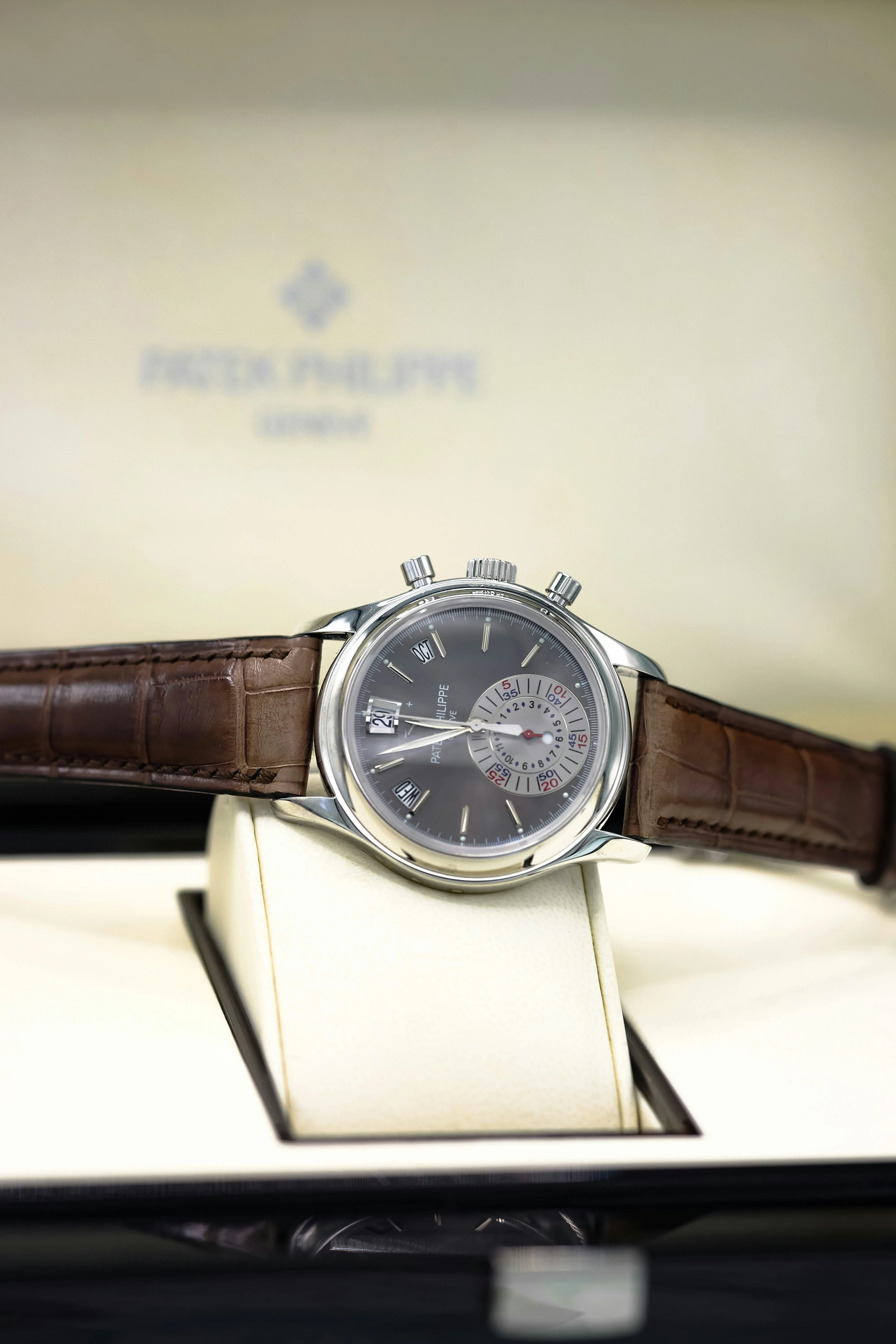 Patek Philippe Annual Calendar Chronograph 5960P-001 40.5mm Platinum Gray 4