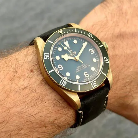 Tudor Black Bay 79250BA 43mm Bronze Gray 2