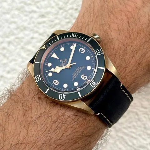 Tudor Black Bay 79250BA 43mm Bronze Gray 5