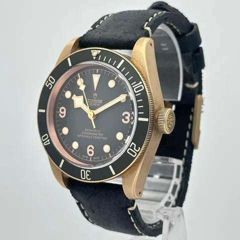 Tudor Black Bay 79250BA 43mm Bronze Gray 11