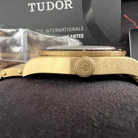 Tudor Black Bay M79012M-0001 39mm Bronze Brown 3