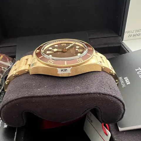 Tudor Black Bay M79012M-0001 39mm Bronze Brown 4