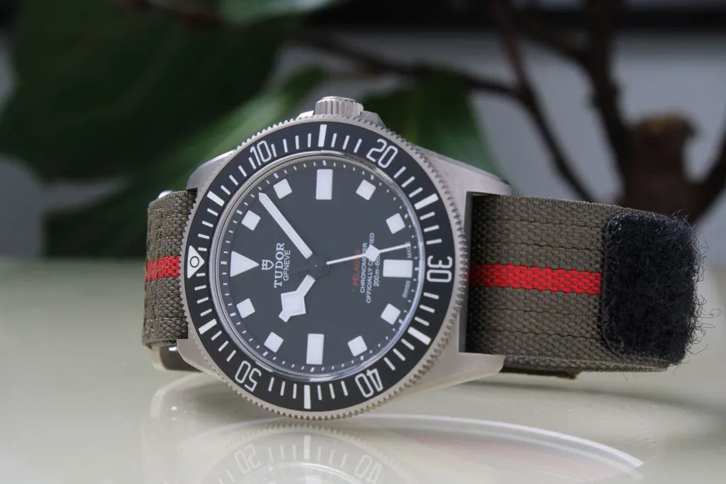 Tudor Pelagos FXD 25717N 1