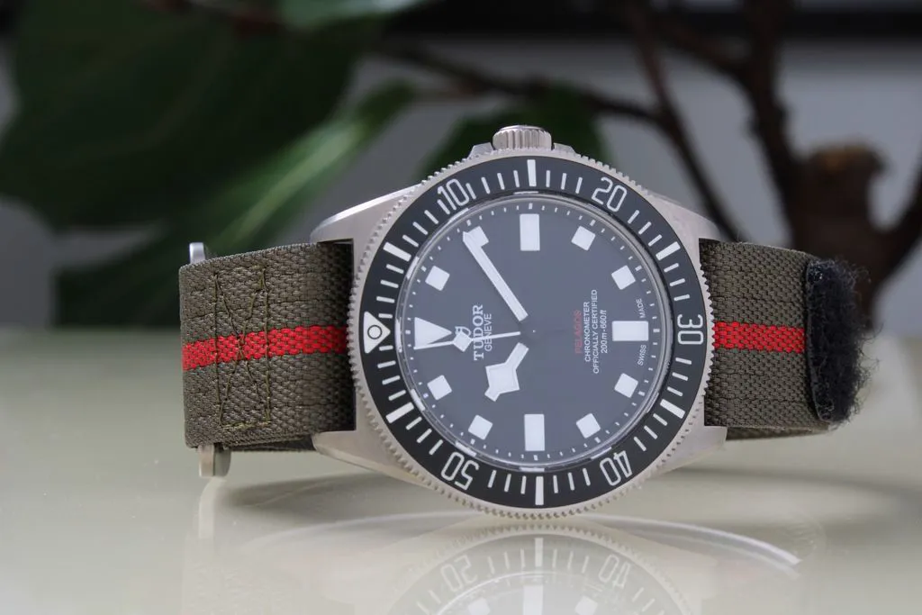 Tudor Pelagos FXD 25717N 8