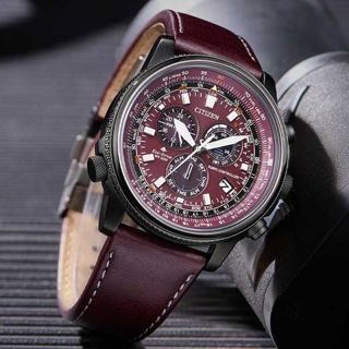 citizen-promaster-