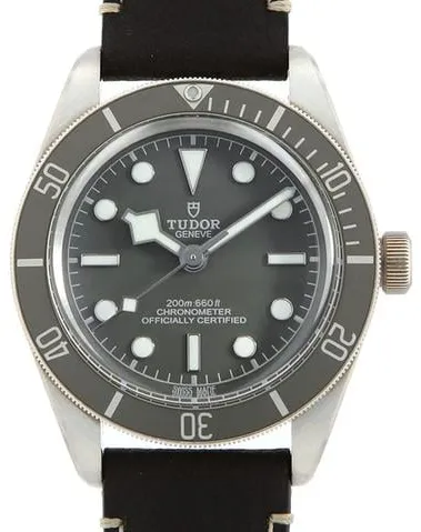 Tudor Black Bay 58 79010SG 39mm Silver Gray