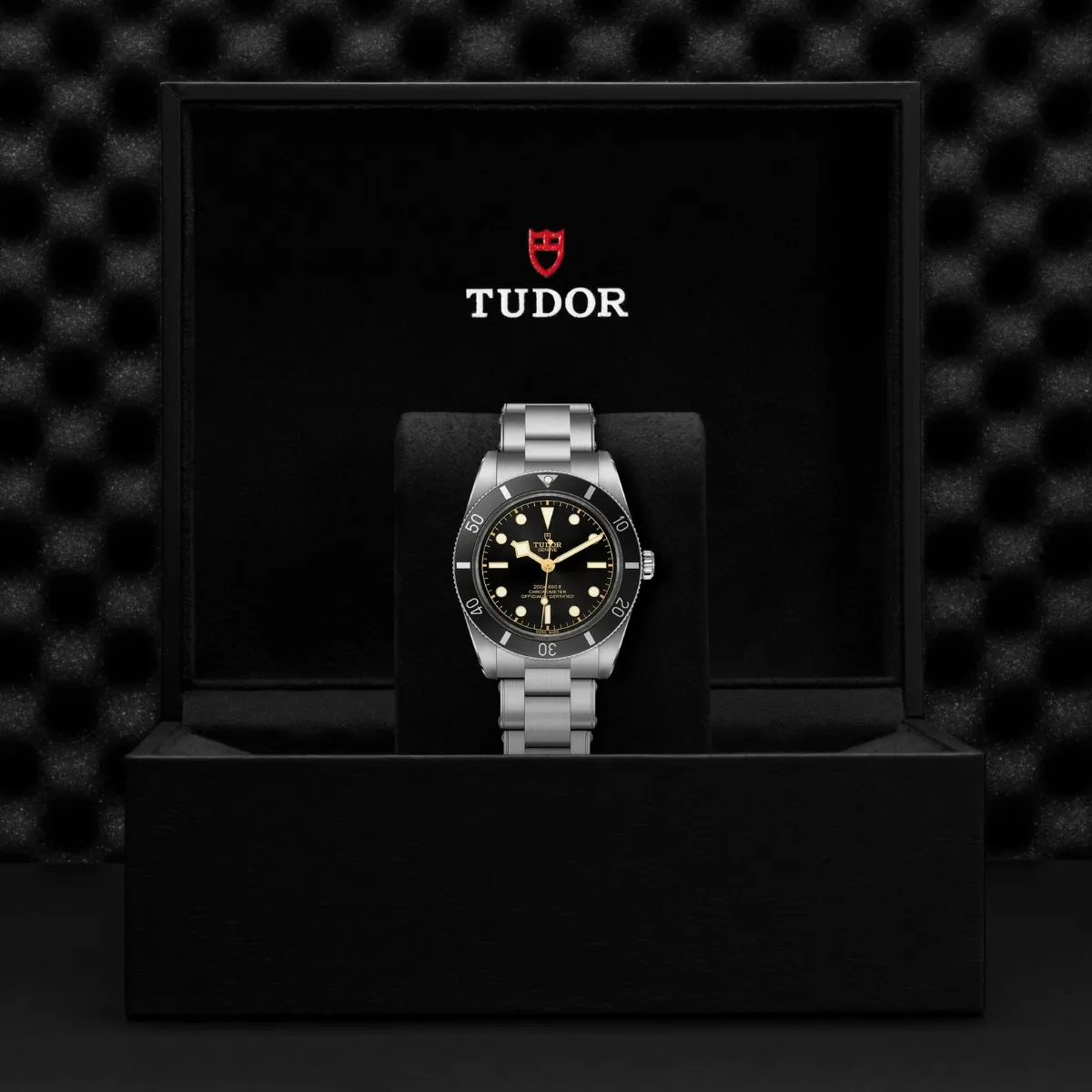 Tudor Black Bay M79000N-0001 35mm Stainless steel Black 4