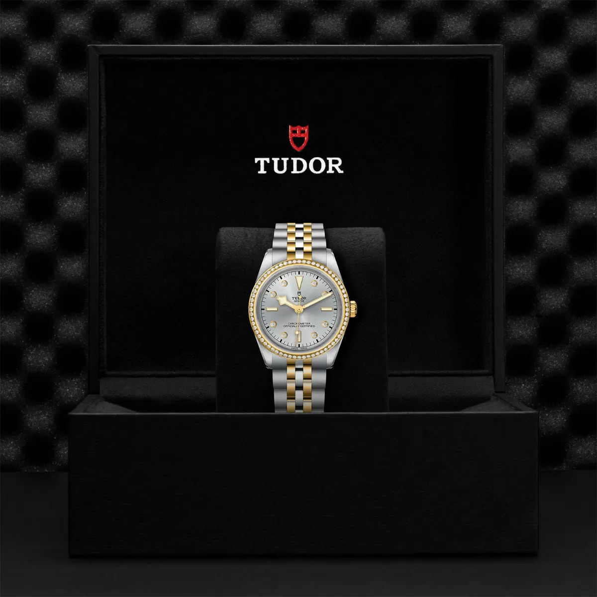 Tudor Black Bay M79653-0006 36mm Two Tone Silver 4