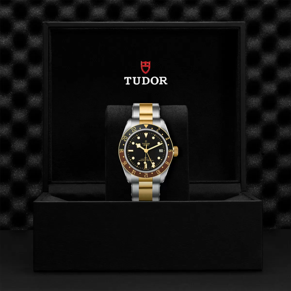 Tudor Black Bay M79833MN-0001 40mm Two Tone Black 4