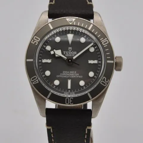 Tudor Black Bay 58 79010SG 39mm Silver Gray